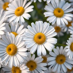 Obraz premium Macro photograph of flowers with detailed petals