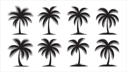 Obraz premium Eight Black Silhouettes of Tropical Palm Trees on White