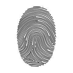 Detailed Fingerprint Pattern Isolated on White Background