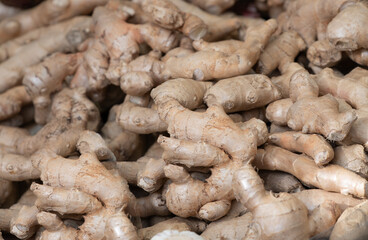 Close-up of fresh ginger for sale at a market. The roots are clearly visible.