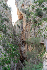Stunning view of El Caminito del Rey walkway through a steep gorge in Málaga, Spain.