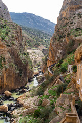 Hikers traverse El Caminito del Rey, a dramatic cliffside path in Málaga, Spain, offering breathtaking views.