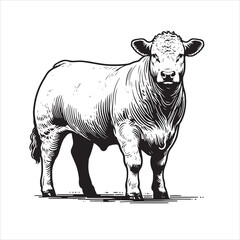 Cow, bull, cow and calf silhouette vector, drawing artwork