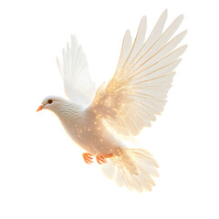 Obraz premium A Celestial Dove Glowing Softly Flying Through Gold Isolated on Transparent Background