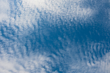High altitude cirrocumulus clouds on a sunny day.