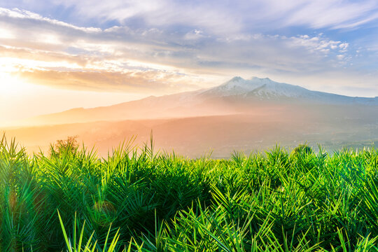 amazing green grass highland valley during sunset or sunrise with beautiful evening landscape of great mountrain and nice cloudy sky - Powered by Adobe