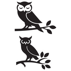owls on tree on white background