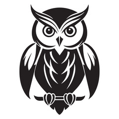 owl on white background