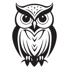 owl on white background