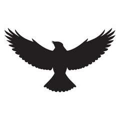 Obraz premium golden eagle in flight on white background