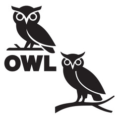 owl sitting on a branch