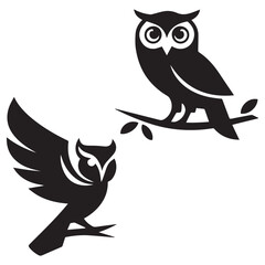 owl on branch on white background