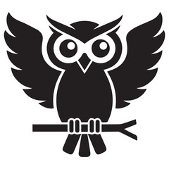 owl on white background