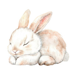 Cute sleeping rabbit on a white background. The illustration is hand drawn with watercolor. Perfect for textiles, packaging and design.