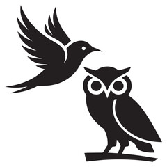 owl on a white background