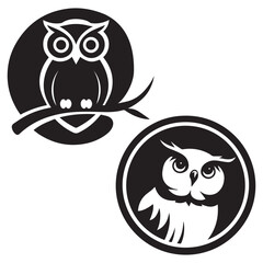 owl sitting on branch