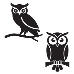 set of owls on white background