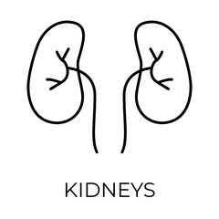 KIDNEYS