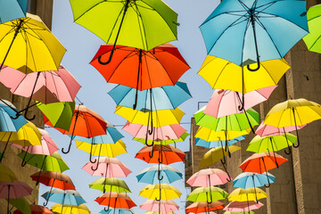 Colorful umbrellas above the street