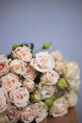 Soft pink roses beautifully in a bouquet on gray background