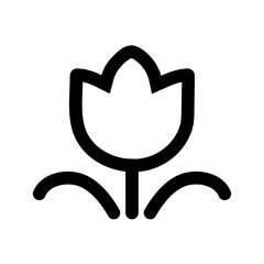 A Delicate Tulip In Full Bloom, A Symbol Of Springtimes Gentle Arrival And New Beginnings, Rendered In Bold Black Lines Against A Pure White Background