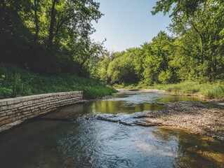 Fototapeta premium Serene Landscape of Clear Stream Flowing Through Lush Green Forest Under Bright Blue Sky in Summer Season