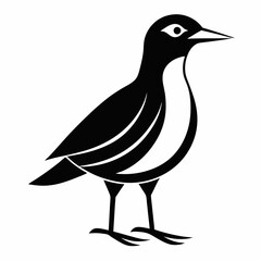 vector illustration of a bird