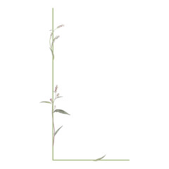 Capital letter L with floral motifs. Botanical alphabet with herbs and wildflowers. Blooming green branches of Polygonum plant. Knotweed or Smartweed flower. Isolated vector illustration.