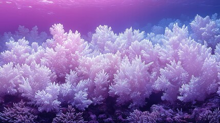 Vibrant Underwater Scene of Delicate White Coral Reefs Flourishing in a Purple and Pink Ocean, showcasing intricate textures and a tranquil underwater ecosystem.