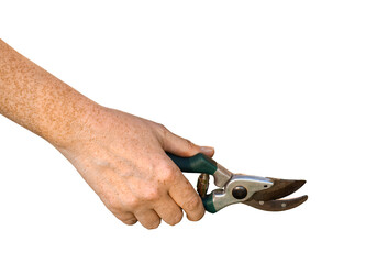 Person's hand holding garden pruners