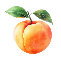 Watercolor illustration of a ripe peach with a stem and vibrant green leaves showcasing natural texture