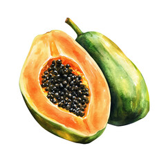 Watercolor illustration of a whole and half-cut ripe papaya with black seeds and vibrant orange flesh