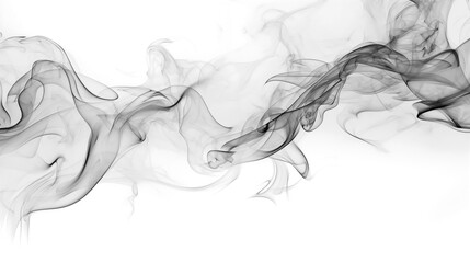 Fototapeta premium black smoke or fog isolated on white background. 