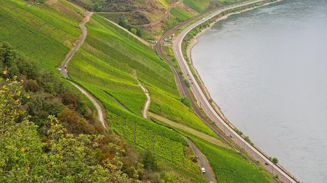 View above terraced vineyards on the hillside riverbank of the Rhine River, Boppard, Germany