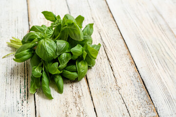 Fresh green basil leaves on white wooden background