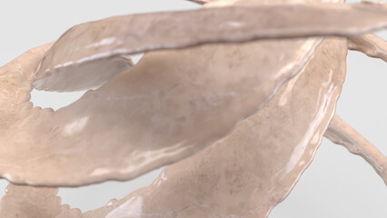 The White Marble Splash on White Background for Abstract Background concept 3d Rendering.