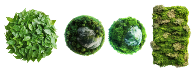 green earth on white background