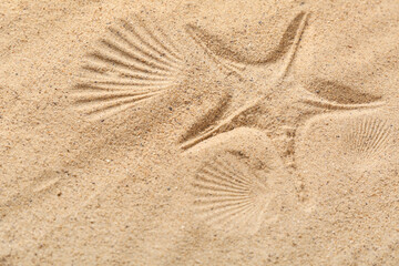 Prints of seashells and starfish on beach sand, closeup