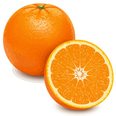 수정됨_image_fx_ (6)_traced