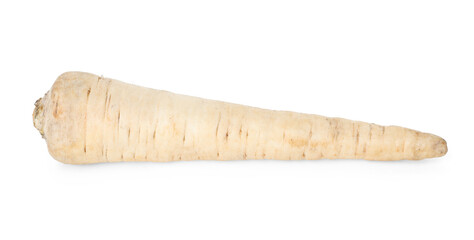 One raw parsley root isolated on white