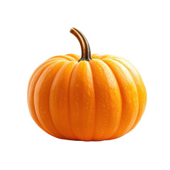 Vibrant orange pumpkin with textured skin on transparent background