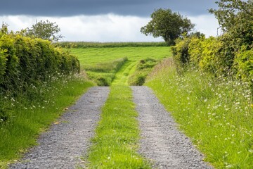 Obraz premium Narrow Gravel and Grass Farm Track Leading Between Tall Green Hedges Under Stormy Sky