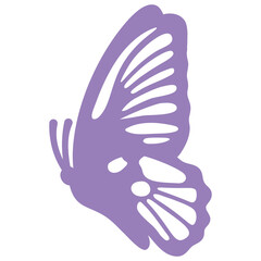 Purple Butterfly