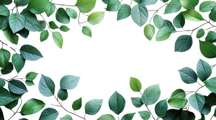 Lush green foliage forms a natural frame of spring growth