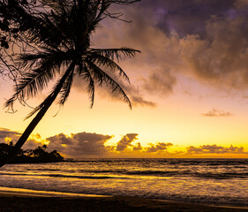 Leaning Palm Tree Sihouette at Sunrise on The Sandy Shoreline of Homoa Beach, Hana, Maui, Hawaii,...