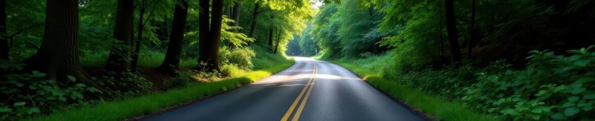 Fototapeta premium Narrow asphalt road cuts through dense, shadowy woods , woods, mysterious