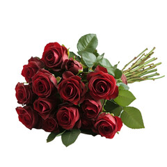 Obraz premium Set red rose beautiful flower on an isolated white background 