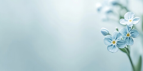 Close-up of a delicate forget-me-not, with its tiny petals and soft blue color. Illustration for a sentimental design or nature-themed artwork
