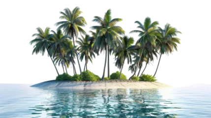 Tropical island with palm trees on transparent background reflecting on water