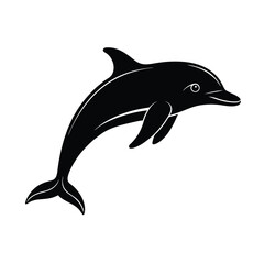 dolphin vector illustration